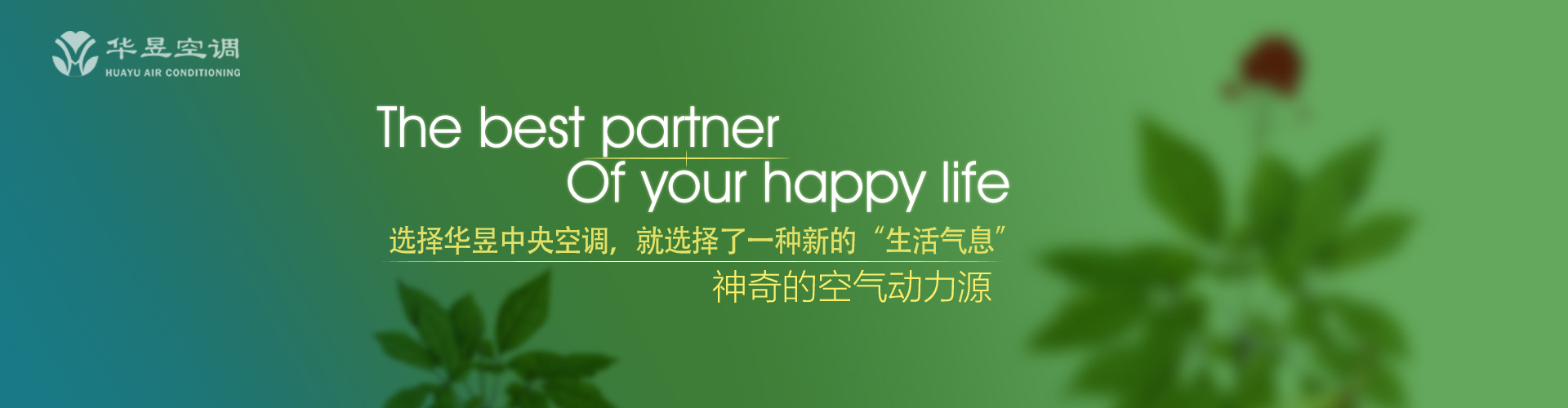 娓娓不倦网